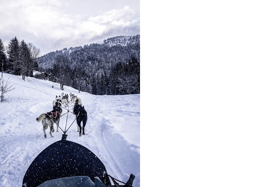 zannier hotels le chalet dog sledding ride 1 c zannier hotels