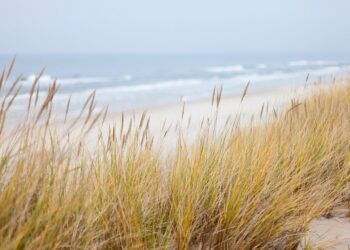 traumhafter ostsee urlaub