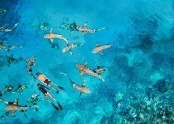 Oasis: Anantara Veli & Anantara Dhigu