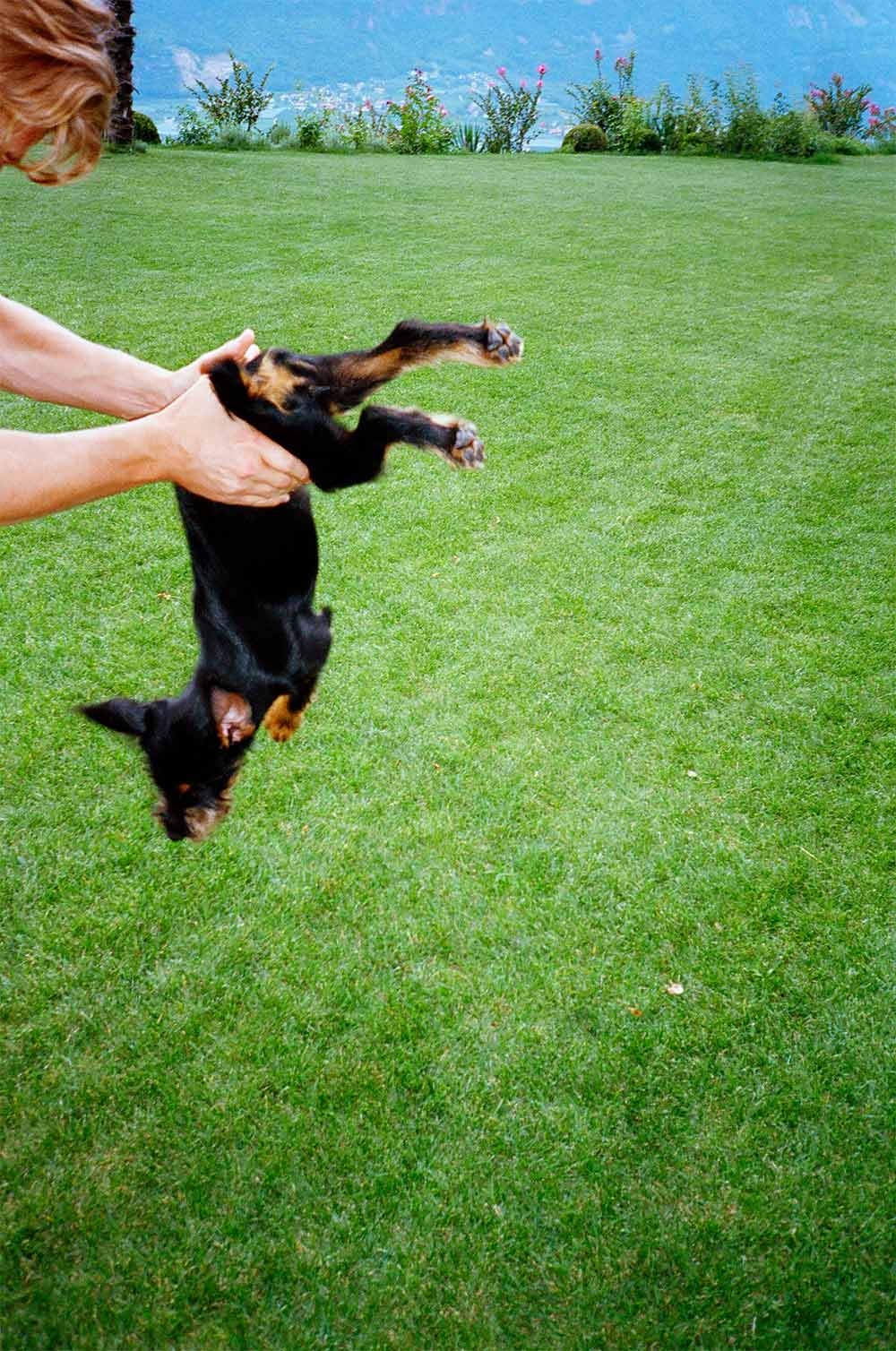 Bild von Matteo Thun. Hund wird an der Hüfte gehalten.