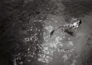 Editorial by Alex Lambrechts Page