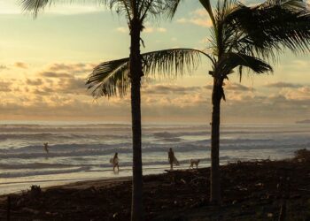 Offshore Pearl: Musa Teaser