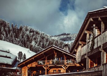 Mountain Bliss: L'Alpaga Teaser