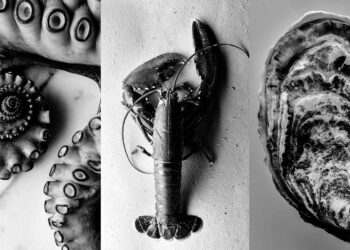 The Epicure serviert kulinarische Weltklasse