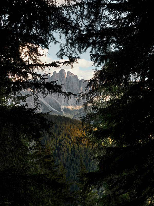 Peace of Mind: Das Forestis im Südtirol