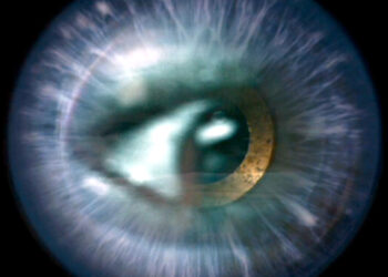 Unsere Vorschau auf die photoSCHWEIZ 2025