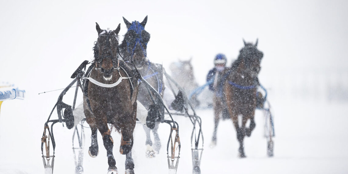 Eiskalt durchs Ziel: Die White Turf Highlights 2025