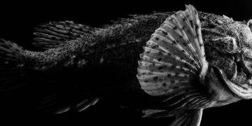 Gourmetfestival The Epicure: Haute Cuisine hoch zehn