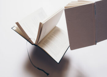 FACES Book Club: Small Boat von Vincent Delecroix