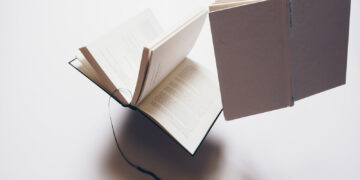 FACES Book Club: Small Boat von Vincent Delecroix