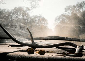 Fotograf Alex Bex im Interview