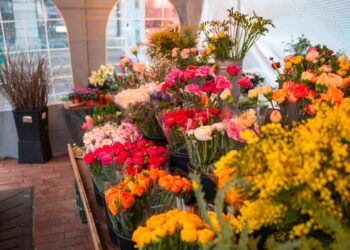Faces Top 10: Die besten Blumenläden in Zürich