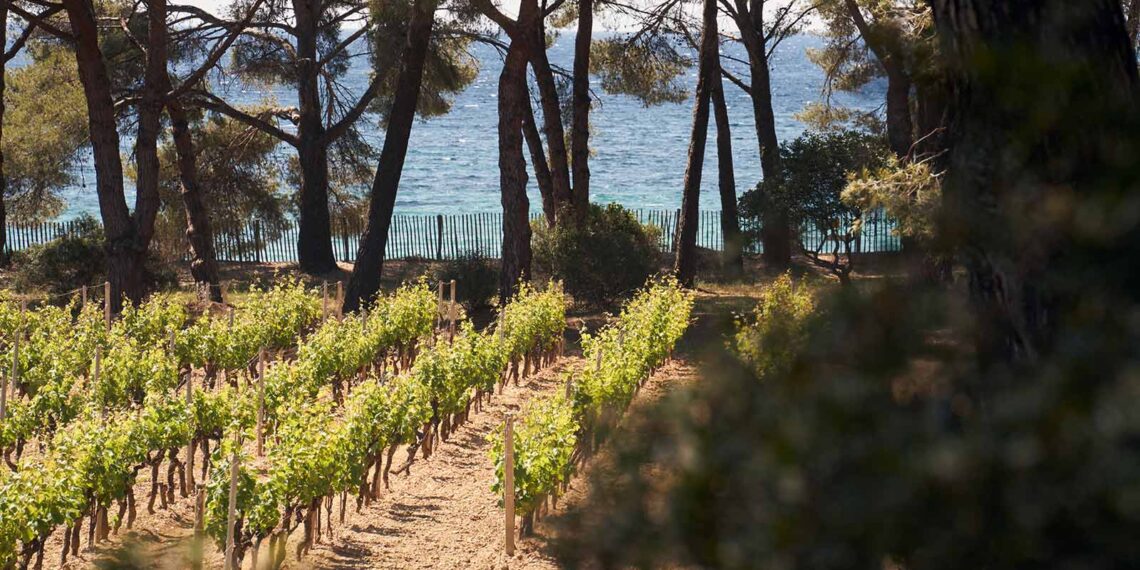 Domaines Ott: Hier ist Rosé nicht Trend, sondern Tradition